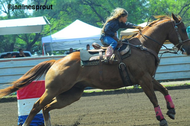 Waimea Town Celebrationi Rodeo