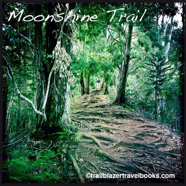 MoonshineTrail