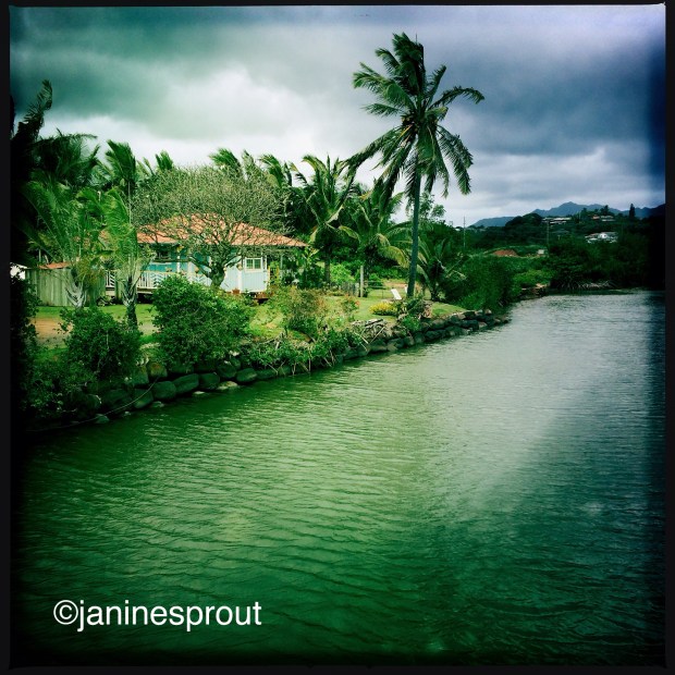 Hawaii Trailblazer Travel Photo