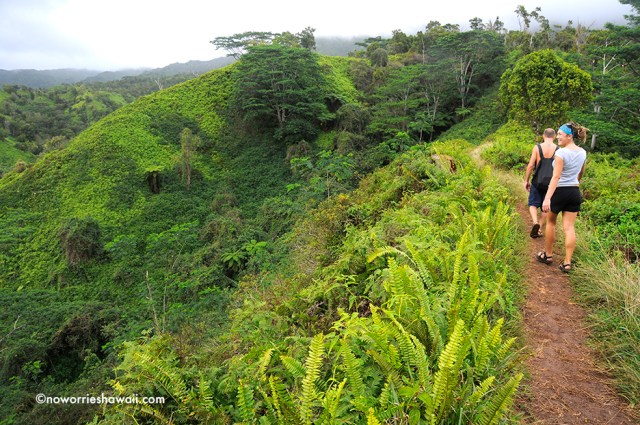 hiking Kukui Trail Kauai Trailblazer HawaiiOutside