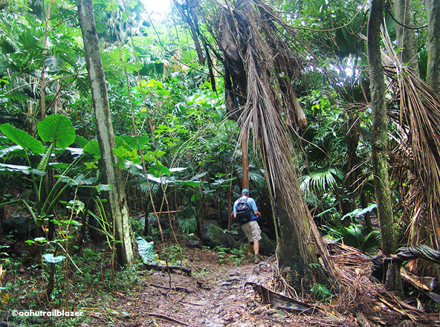Maunawili Falls Oahu Trailblazer Kailua adventure travel