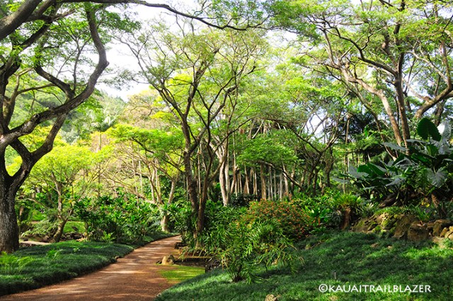 allergen gardens Poipu kauai